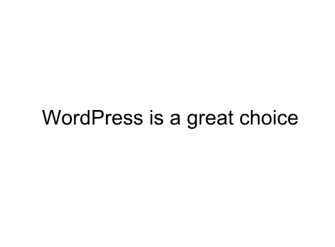 Matt Cutts siad WordPress is a grate choice.